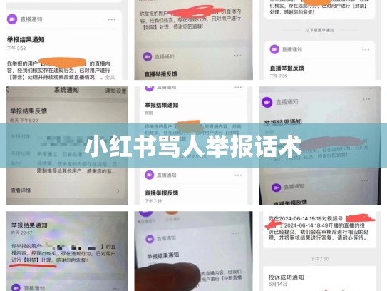 小红书骂人举报话术