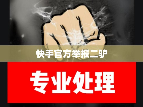 快手官方举报二驴
