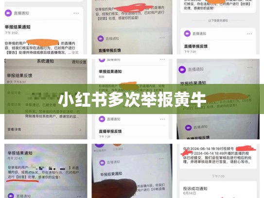 小红书多次举报黄牛