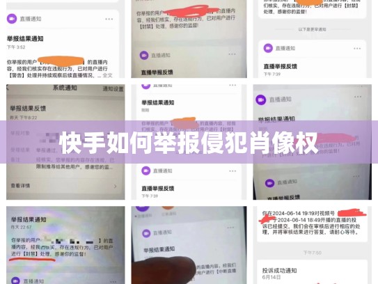快手如何举报侵犯肖像权
