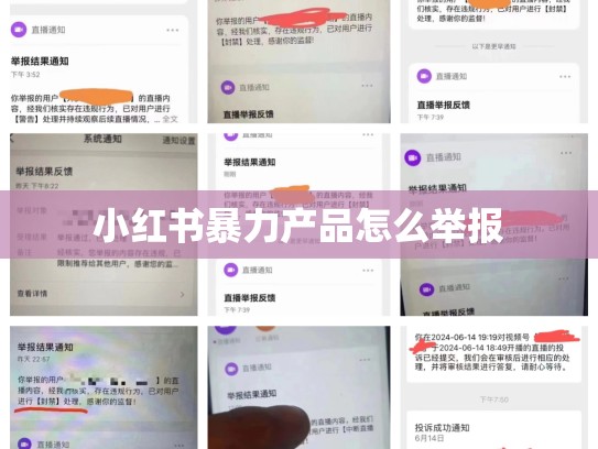 小红书暴力产品怎么举报