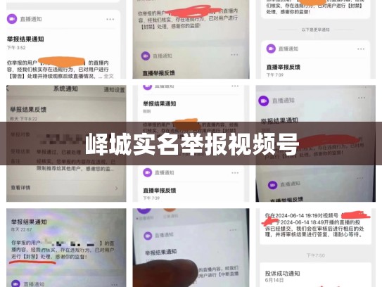 峄城实名举报视频号