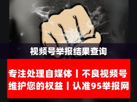 视频号举报结果查询