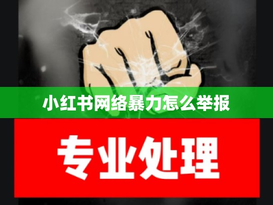 小红书网络暴力怎么举报