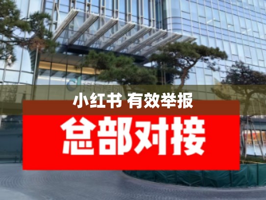 小红书 有效举报