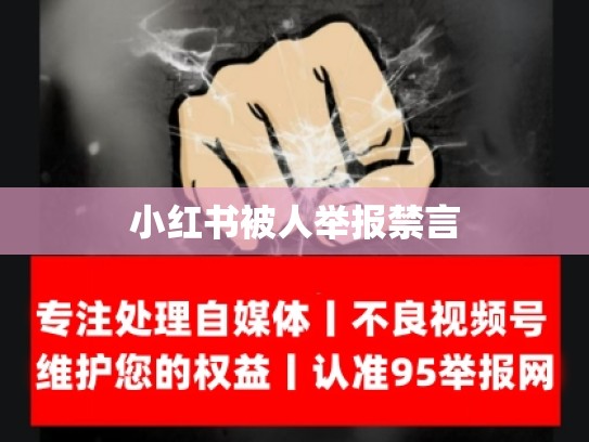 小红书被人举报禁言