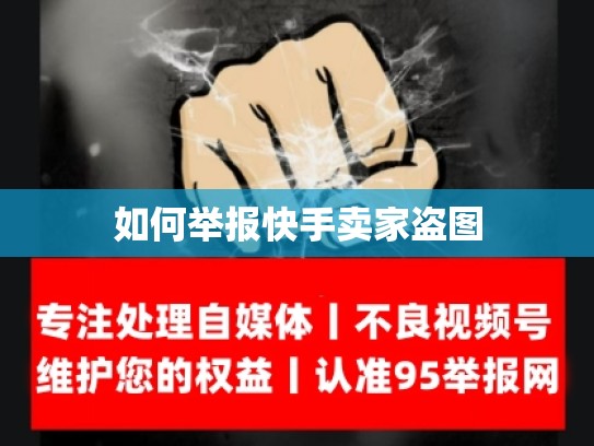 如何举报快手卖家盗图