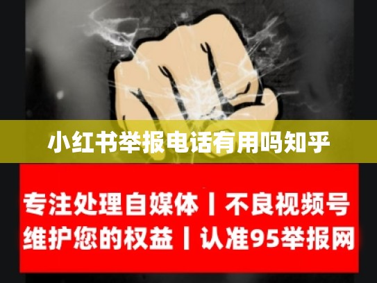 小红书举报电话有用吗知乎