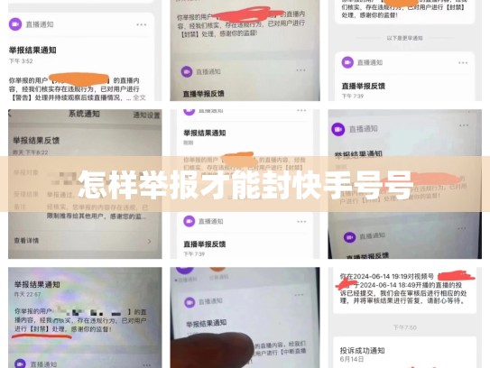 怎样举报才能封快手号号