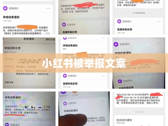 小红书被举报文案