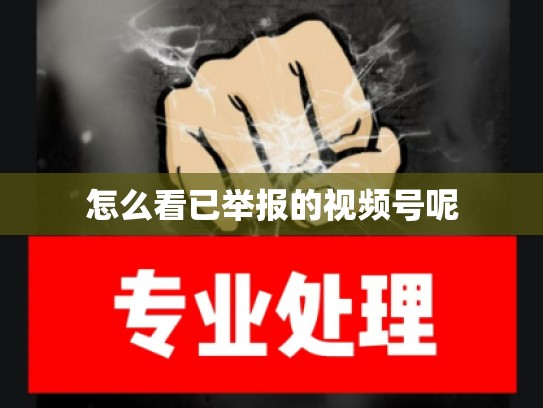 怎么看已举报的视频号呢