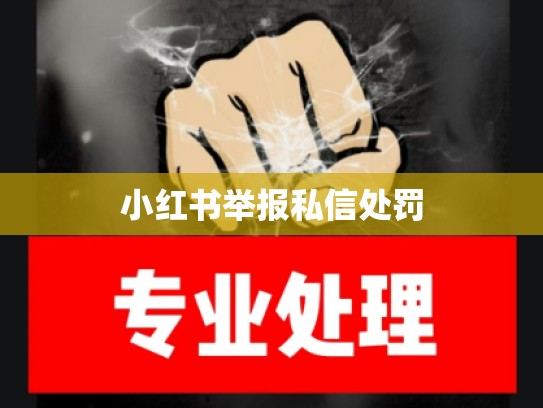小红书举报私信处罚