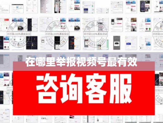 在哪里举报视频号最有效