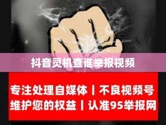 抖音灵机查谁举报视频