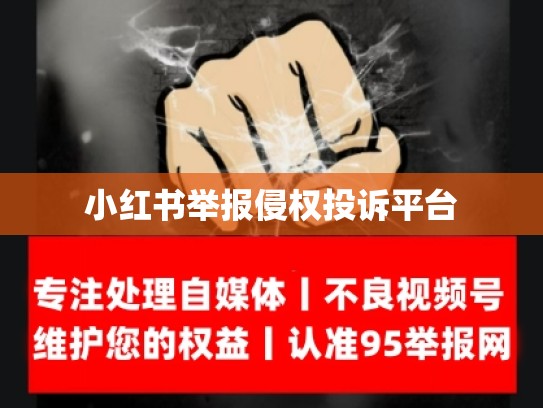 小红书举报侵权投诉平台