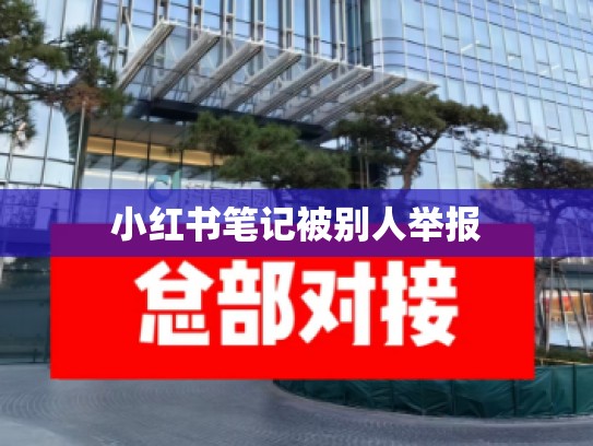 小红书笔记被别人举报