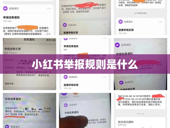 小红书举报规则是什么