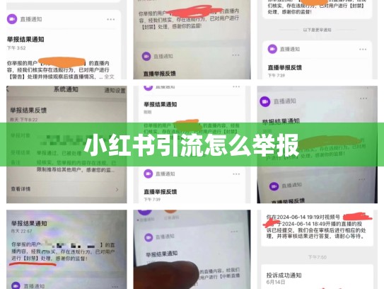 小红书引流怎么举报