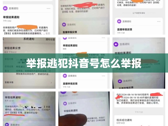 举报逃犯抖音号怎么举报