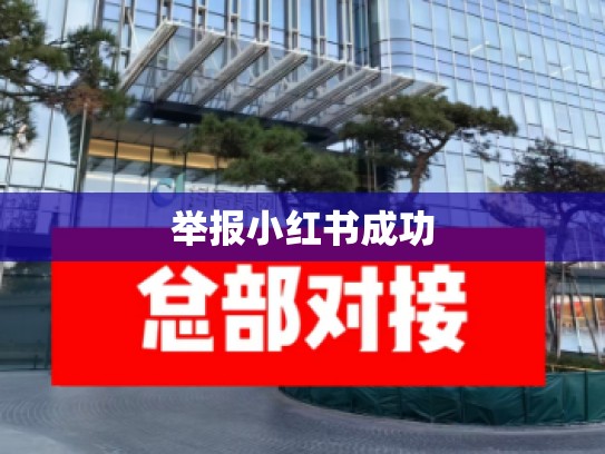 举报小红书成功