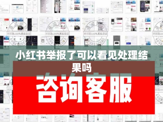 小红书举报了可以看见处理结果吗