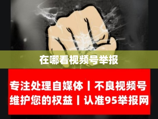 在哪看视频号举报
