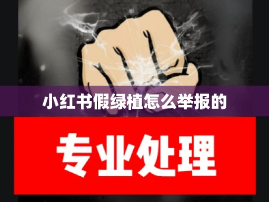 小红书假绿植怎么举报的