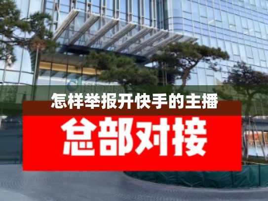 怎样举报开快手的主播