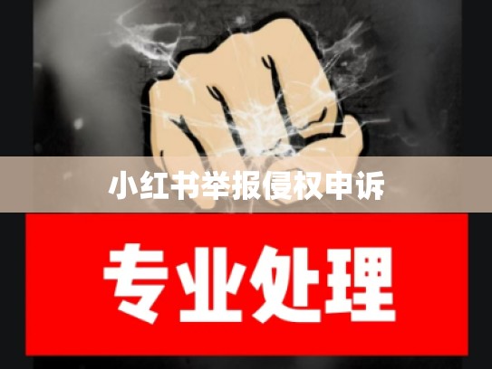 小红书举报侵权申诉