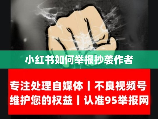 小红书如何举报抄袭作者