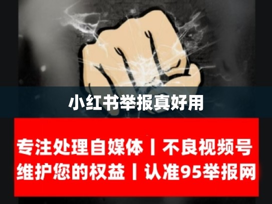 小红书举报真好用
