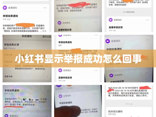 小红书显示举报成功怎么回事
