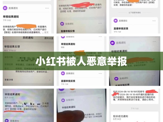 小红书被人恶意举报