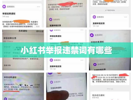 小红书举报违禁词有哪些