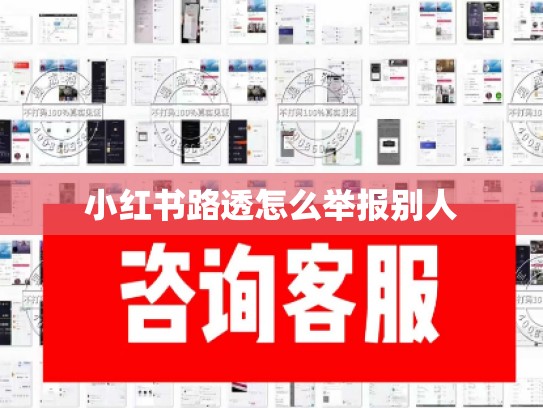 小红书路透怎么举报别人