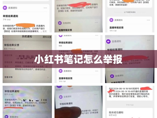 小红书笔记怎么举报