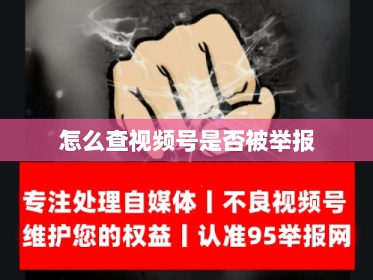 怎么查视频号是否被举报