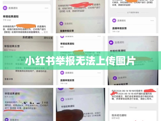 小红书举报无法上传图片