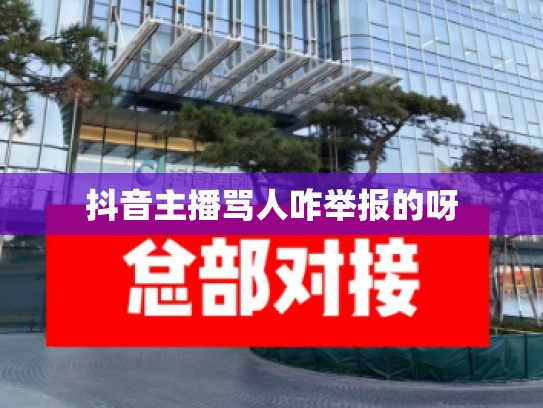 抖音主播骂人咋举报的呀