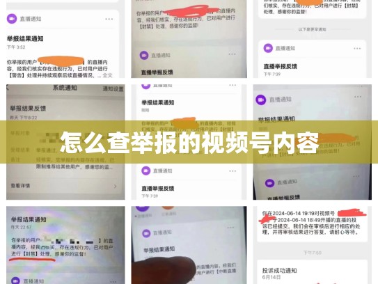 怎么查举报的视频号内容