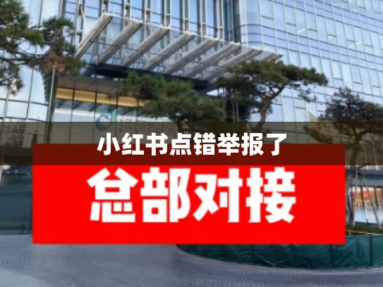 小红书点错举报了