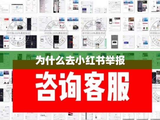 为什么去小红书举报
