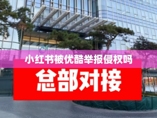 小红书被优酷举报侵权吗