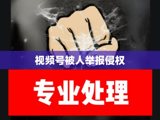 视频号被人举报侵权