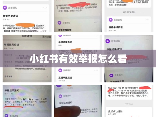 小红书有效举报怎么看