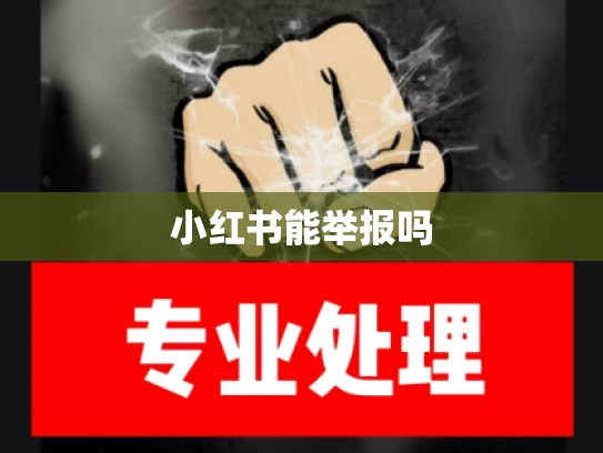 小红书能举报吗