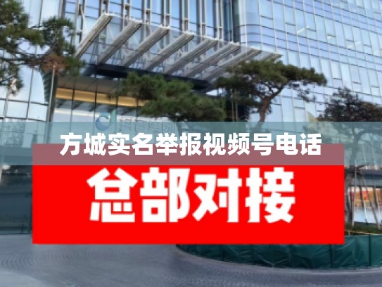 方城实名举报视频号电话