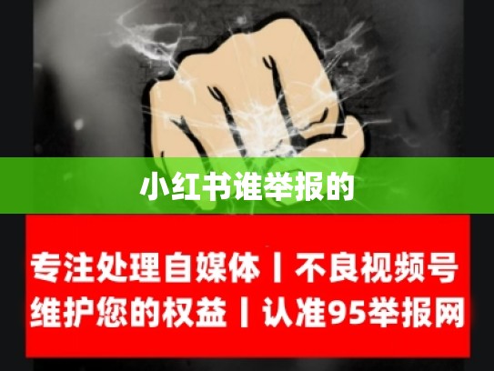 小红书谁举报的