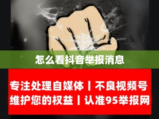 怎么看抖音举报消息
