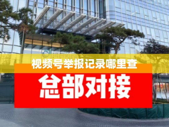视频号举报记录哪里查